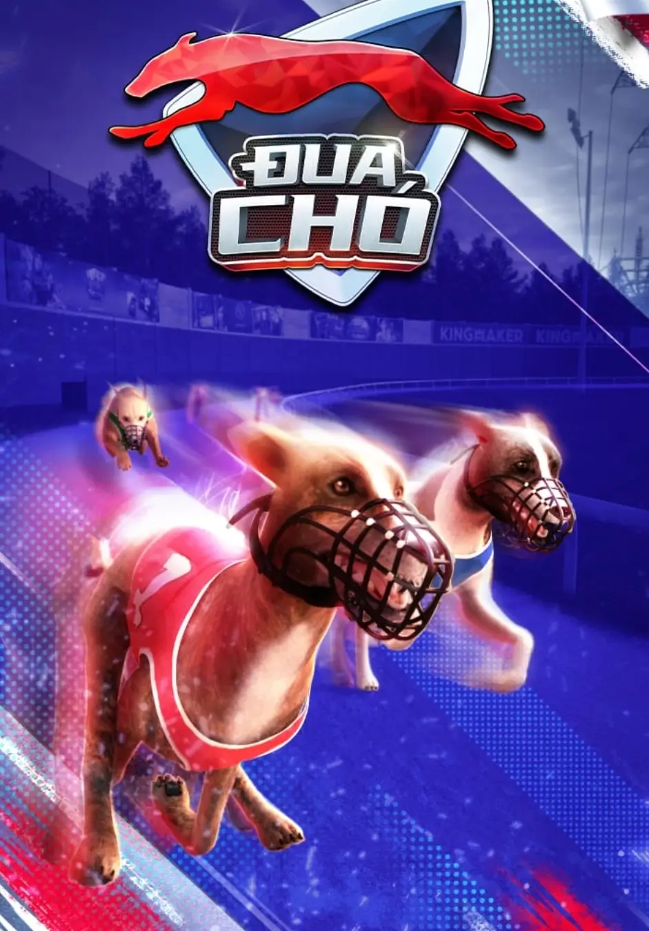Đua Chó